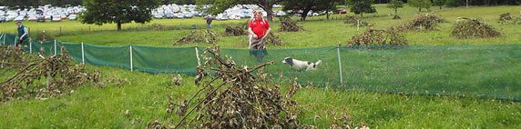 gundog training carmarthenshire